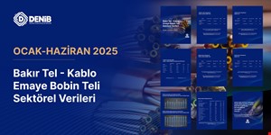 Bakır Tel - Kablo Emaye Bobin Teli Sektörel Verileri Ocak - Haziran 2025