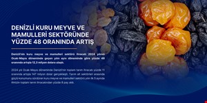 Denizli Kuru Meyve ve Mamulleri Sektöründe Yüzde 48 Oranında Artış