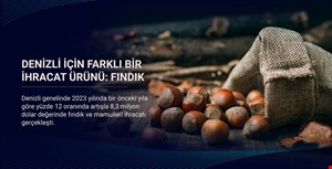 Denizli'nin İhracat Başarısını Kanıtlayan Ürün: Fındık